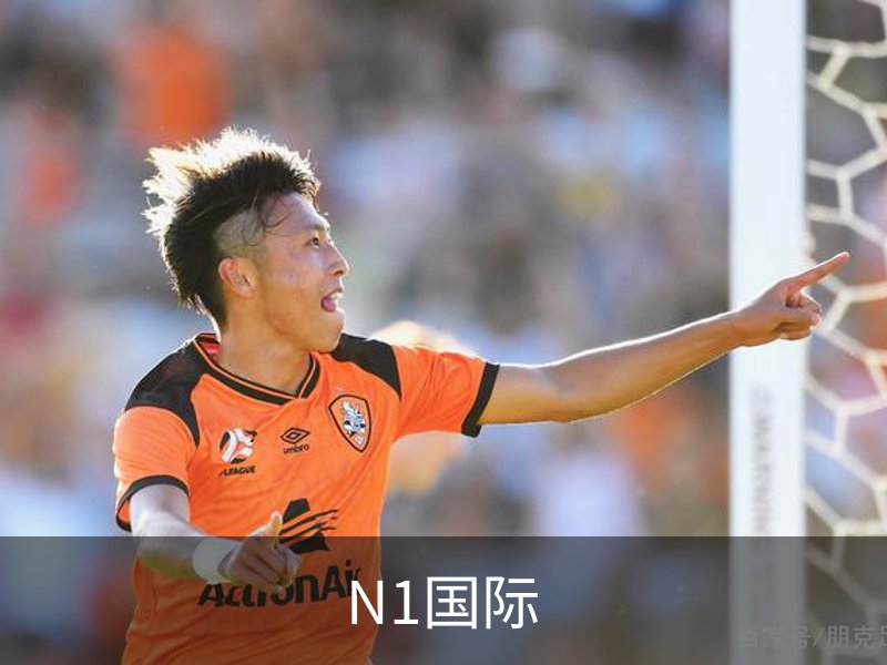 N1国际介绍
